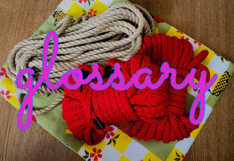 Feminization｜フェミニゼーション｜女性化 | 女装夫とレズビアン妻とミストレス娘