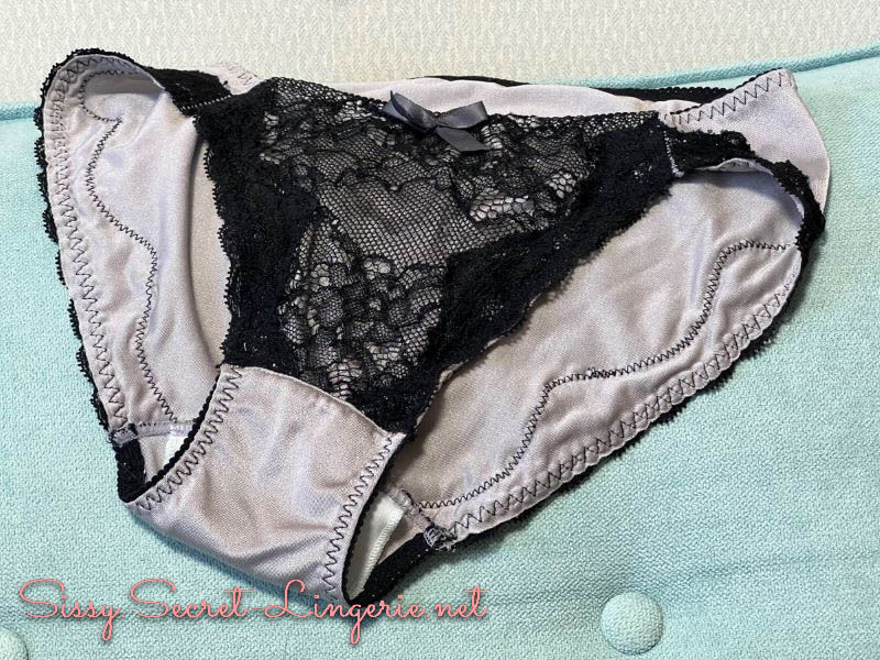 変態女装砂希の告白 Episode2「佳子おばさまのオナニー シルバーのパンティ」 | 女装夫とレズビアン妻とミストレス娘