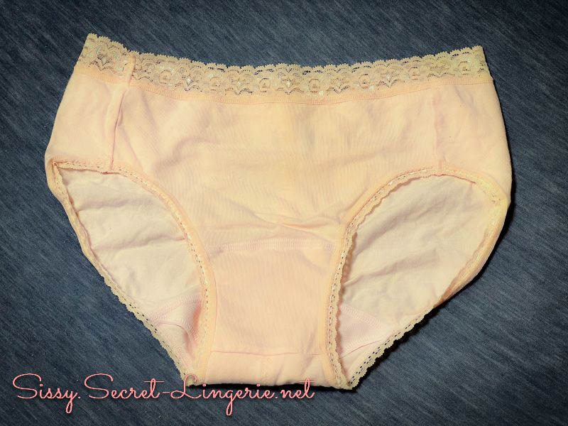 変態女装砂希の告白 Episode3「佳子おばさまの生理用ショーツのシミ」 | 女装夫とレズビアン妻とミストレス娘