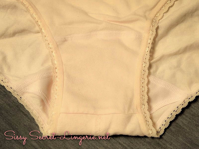 変態女装砂希の告白 Episode4「目の前に置かれたシルバーのパンティと生理用ショーツ」 | 女装夫とレズビアン妻とミストレス娘