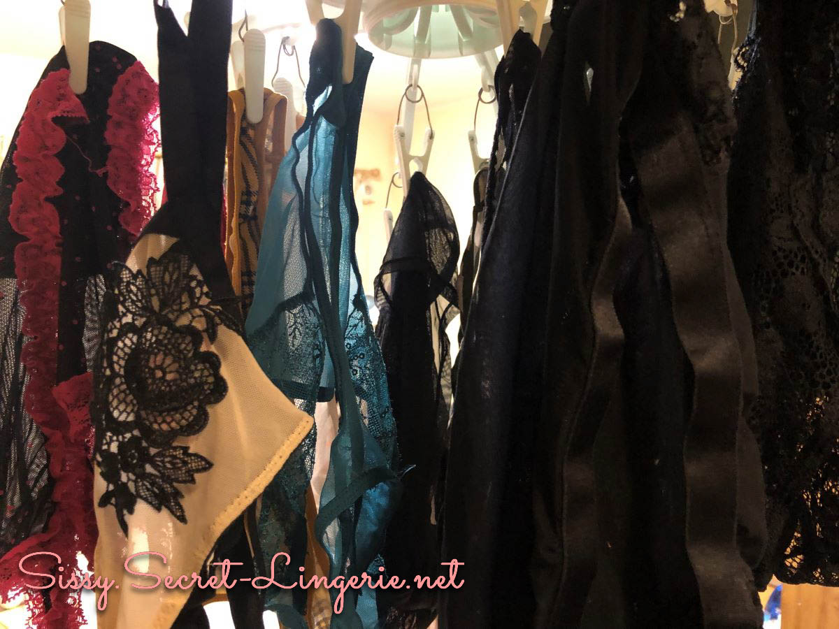 変態女装砂希の告白 Episode9「大人のいやらしい女が穿く、いやらしいパンティ」 | 女装夫とレズビアン妻とミストレス娘